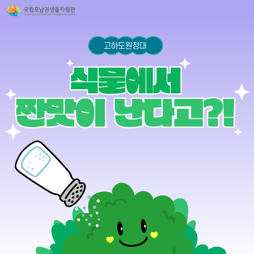2025_SNS_카드뉴스-029