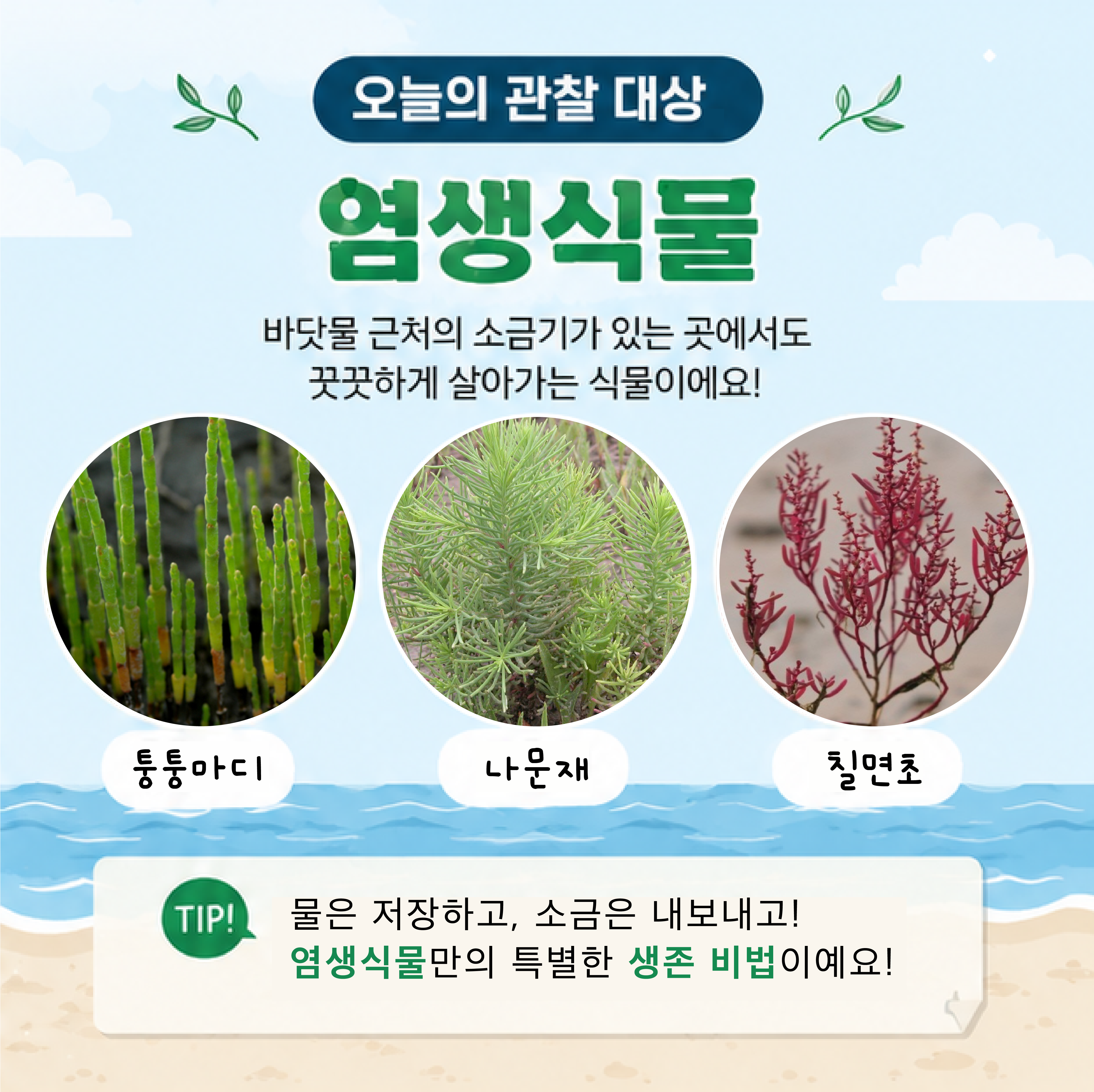 고하도원정대_여름(1)-02