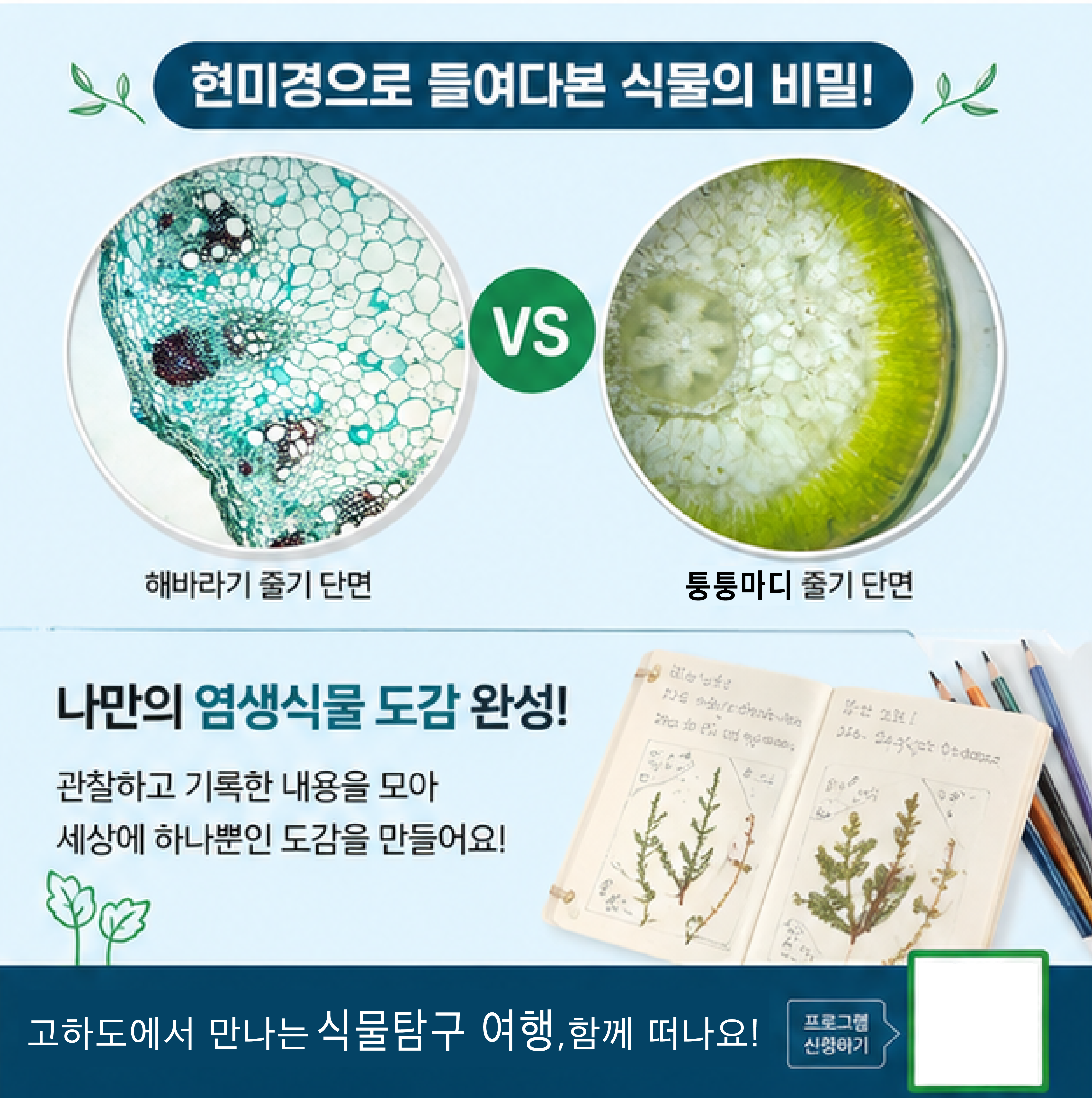 고하도원정대_여름(1)-04
