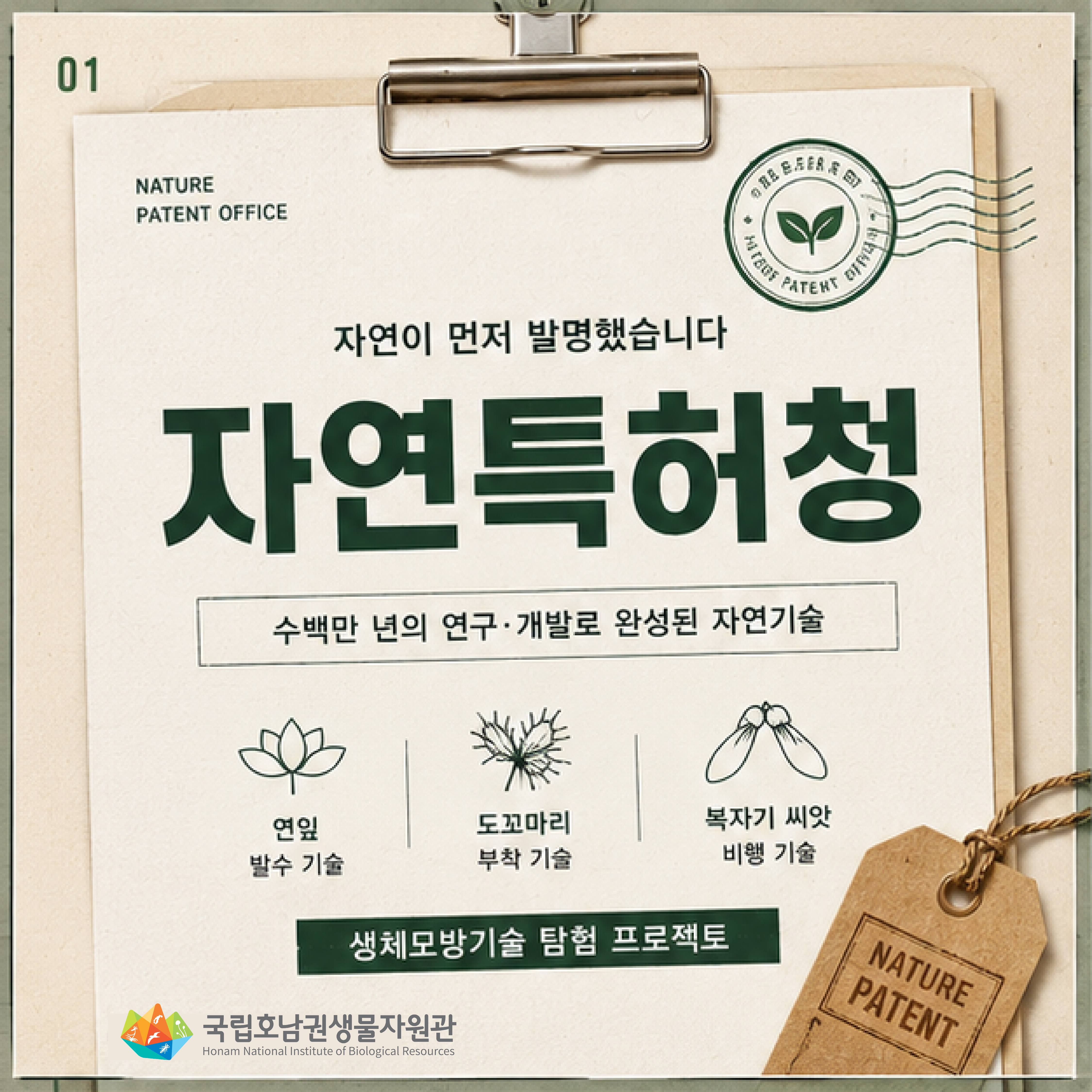 자연을 닮은 생체모방기술 (~ 까지) 이미지