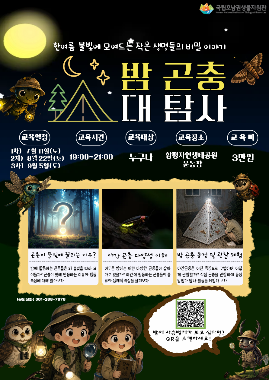 밤 곤충 대탐사 이미지
